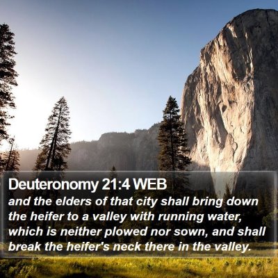Deuteronomy 21:4 WEB Bible Verse Image