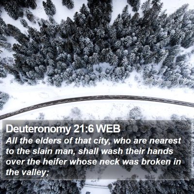 Deuteronomy 21:6 WEB Bible Verse Image