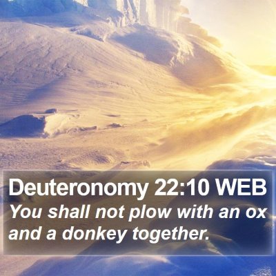 Deuteronomy 22:10 WEB Bible Verse Image