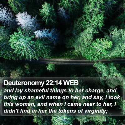 Deuteronomy 22:14 WEB Bible Verse Image