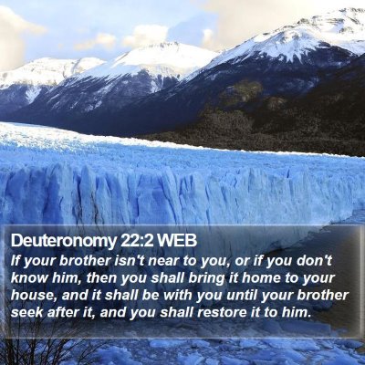 Deuteronomy 22:2 WEB Bible Verse Image