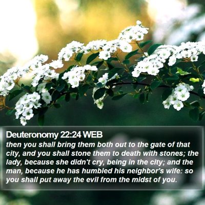Deuteronomy 22:24 WEB Bible Verse Image