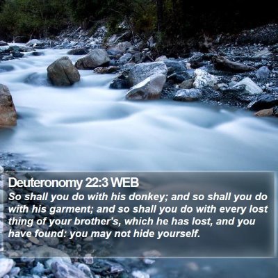 Deuteronomy 22:3 WEB Bible Verse Image