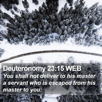 Deuteronomy 23:15 WEB Bible Verse Image