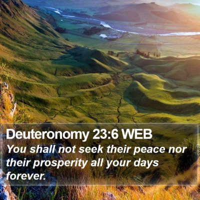 Deuteronomy 23:6 WEB Bible Verse Image