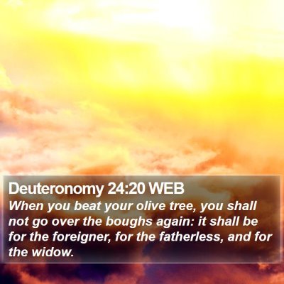 Deuteronomy 24:20 WEB Bible Verse Image