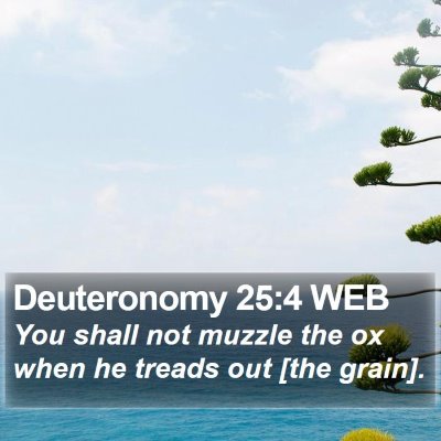 Deuteronomy 25:4 WEB Bible Verse Image