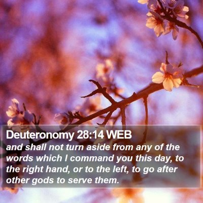 Deuteronomy 28:14 WEB Bible Verse Image