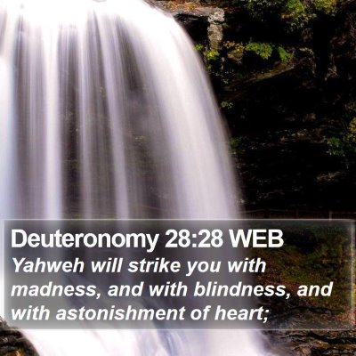 Deuteronomy 28:28 WEB Bible Verse Image
