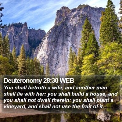 Deuteronomy 28:30 WEB Bible Verse Image