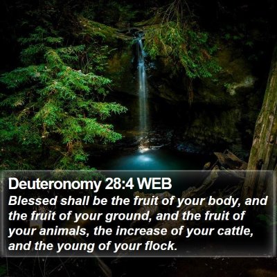 Deuteronomy 28:4 WEB Bible Verse Image