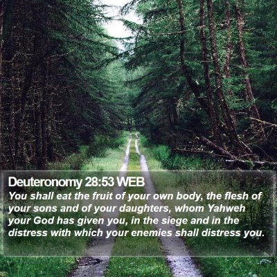 Deuteronomy 28:53 WEB Bible Verse Image