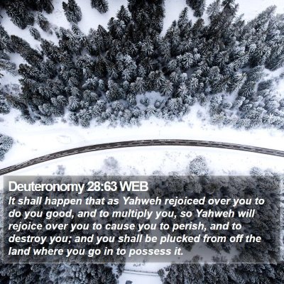 Deuteronomy 28:63 WEB Bible Verse Image