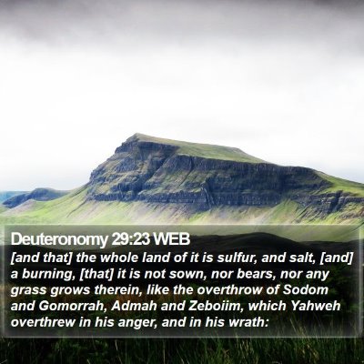 Deuteronomy 29:23 WEB Bible Verse Image