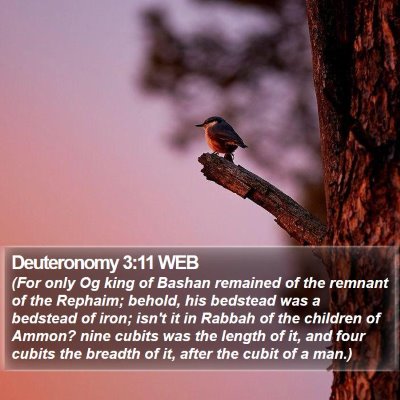 Deuteronomy 3:11 WEB Bible Verse Image