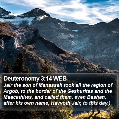 Deuteronomy 3:14 WEB Bible Verse Image