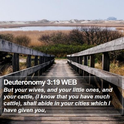 Deuteronomy 3:19 WEB Bible Verse Image