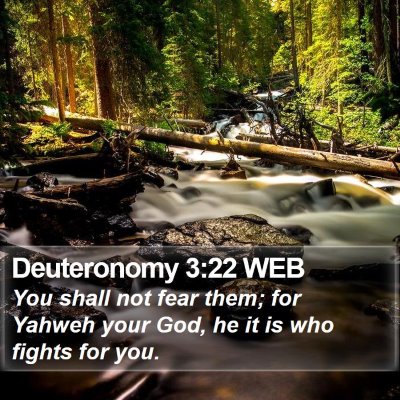 Deuteronomy 3:22 WEB Bible Verse Image