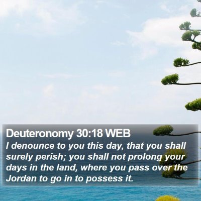 Deuteronomy 30:18 WEB Bible Verse Image