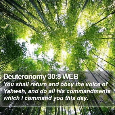 Deuteronomy 30:8 WEB Bible Verse Image