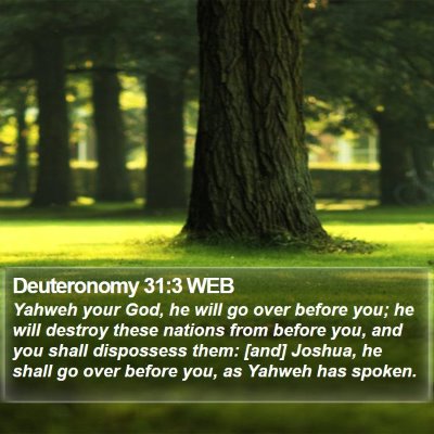 Deuteronomy 31:3 WEB Bible Verse Image