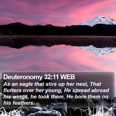 Deuteronomy 32:11 WEB Bible Verse Image