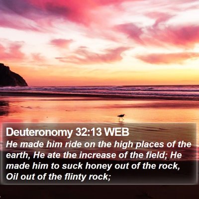 Deuteronomy 32:13 WEB Bible Verse Image