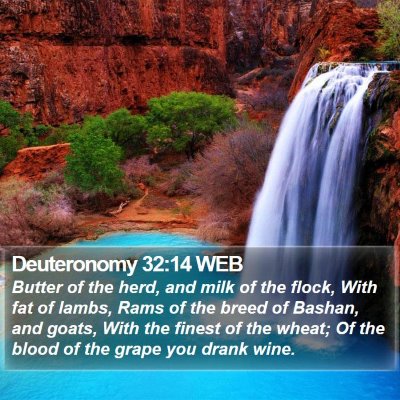 Deuteronomy 32:14 WEB Bible Verse Image