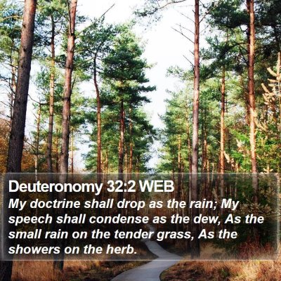 Deuteronomy 32:2 WEB Bible Verse Image