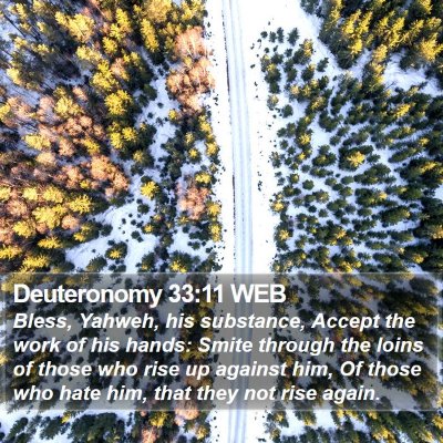 Deuteronomy 33:11 WEB Bible Verse Image