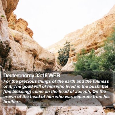 Deuteronomy 33:16 WEB Bible Verse Image