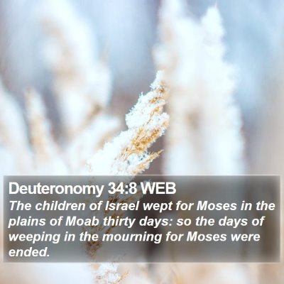 Deuteronomy 34:8 WEB Bible Verse Image