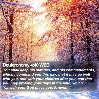 Deuteronomy 4:40 WEB Bible Verse Image