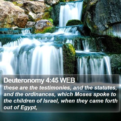Deuteronomy 4:45 WEB Bible Verse Image