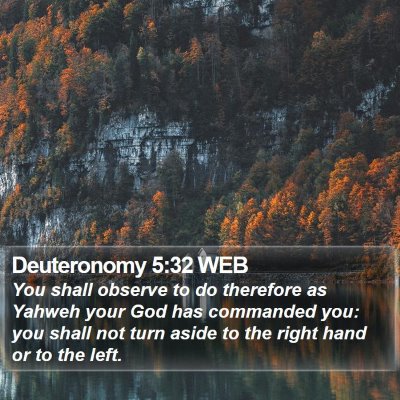 Deuteronomy 5:32 WEB Bible Verse Image