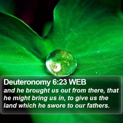 Deuteronomy 6:23 WEB Bible Verse Image