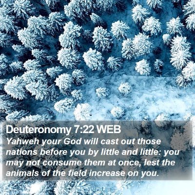 Deuteronomy 7:22 WEB Bible Verse Image