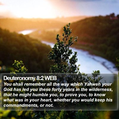Deuteronomy 8:2 WEB Bible Verse Image