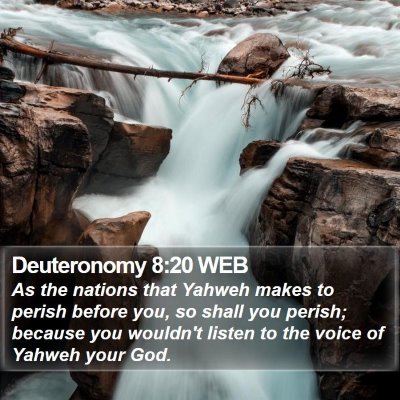 Deuteronomy 8:20 WEB Bible Verse Image