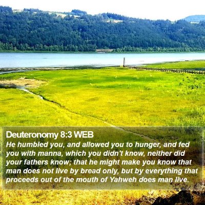 Deuteronomy 8:3 WEB Bible Verse Image