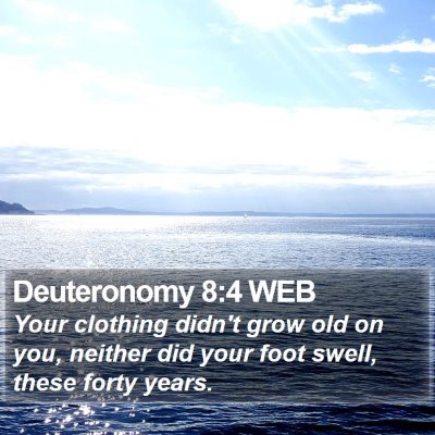 Deuteronomy 8:4 WEB Bible Verse Image