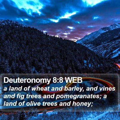 Deuteronomy 8:8 WEB Bible Verse Image