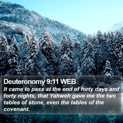 Deuteronomy 9:11 WEB Bible Verse Image