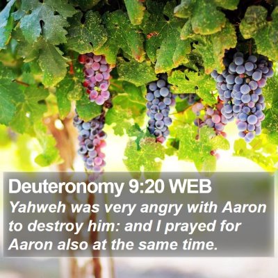 Deuteronomy 9:20 WEB Bible Verse Image