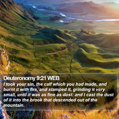Deuteronomy 9:21 WEB Bible Verse Image
