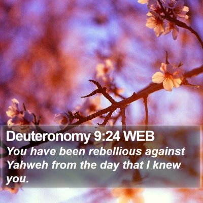 Deuteronomy 9:24 WEB Bible Verse Image