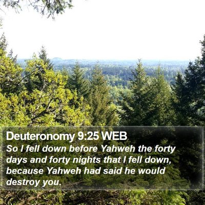 Deuteronomy 9:25 WEB Bible Verse Image