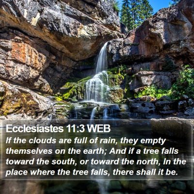 Ecclesiastes 11:3 WEB Bible Verse Image