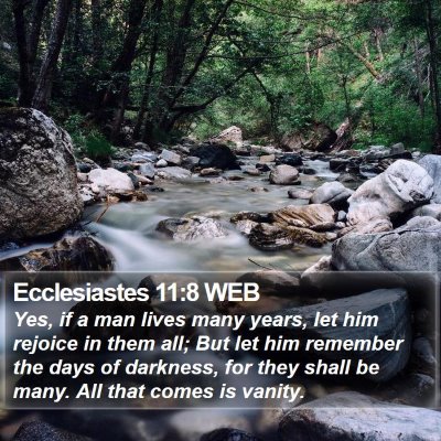 Ecclesiastes 11:8 WEB Bible Verse Image