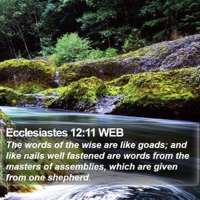Ecclesiastes 12:11 WEB Bible Verse Image